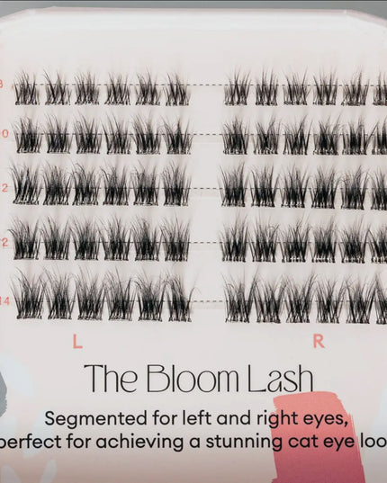 Pop-On Lashes - Style Bloom