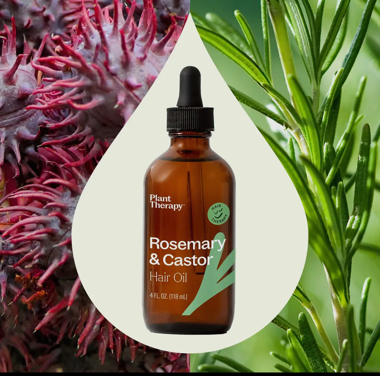 Rosemary & Castor Hair Oil