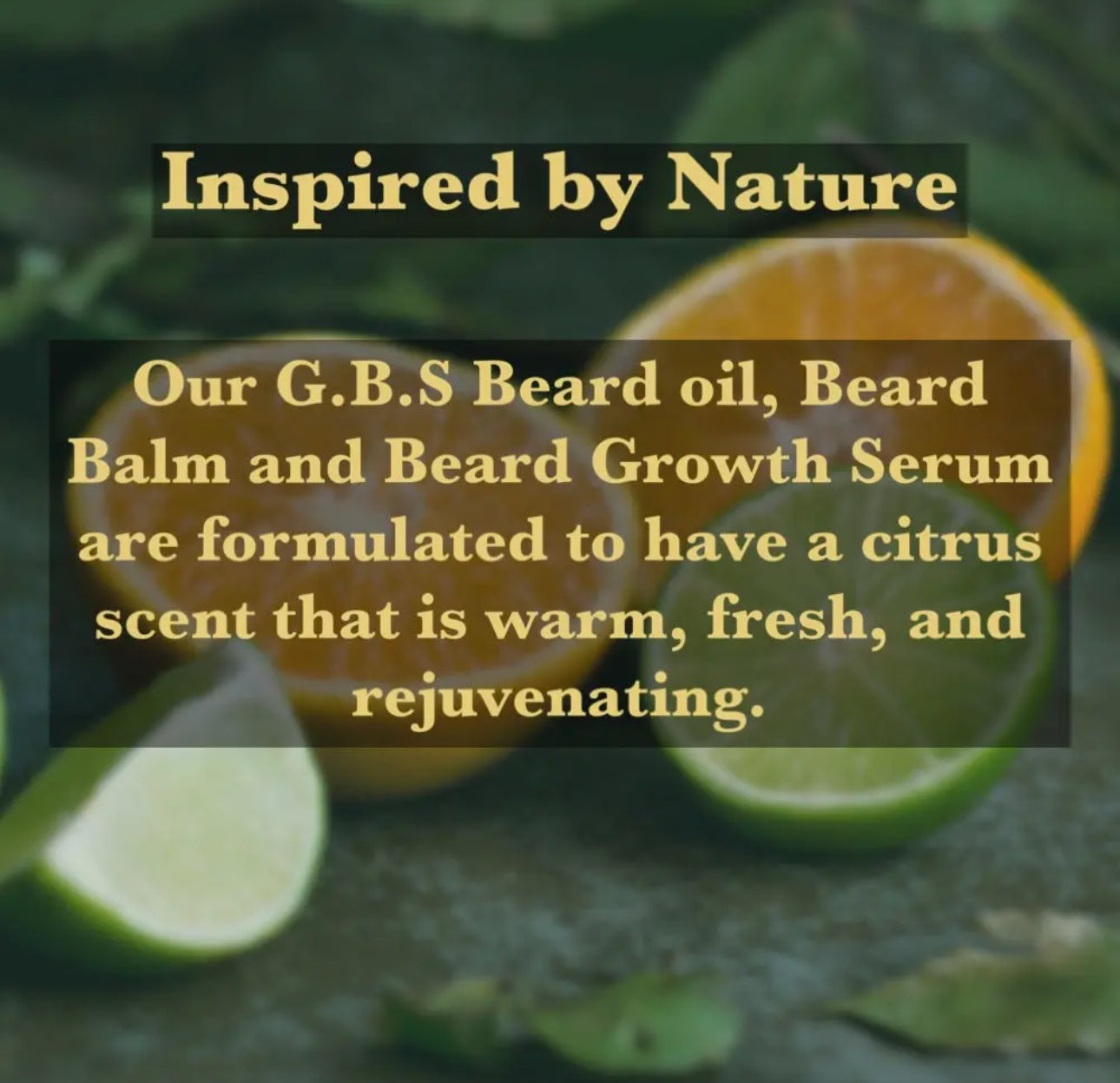 Gbs Beard Growth Kit