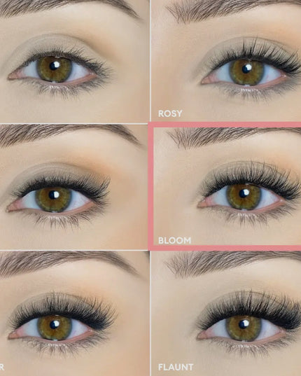 Pop-On Lashes - Style Bloom