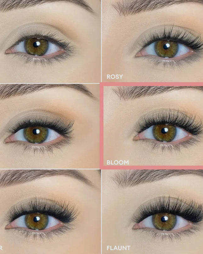 Pop-On Lashes - Style Bloom