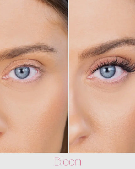 Pop-On Lashes - Style Bloom