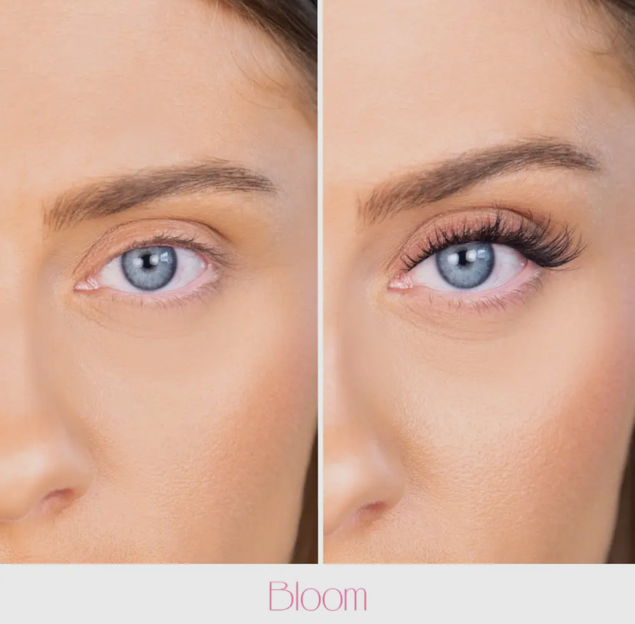 Pop-On Lashes - Style Bloom